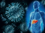 Вирусные гепатиты можно предупредить